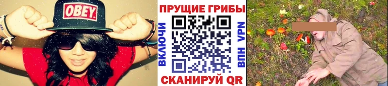 наркошоп  Гусиноозёрск  Псилоцибиновые грибы прущие грибы 